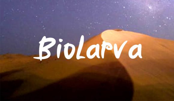 Biolarfa: A Natural Script Handwritten Font for Makers