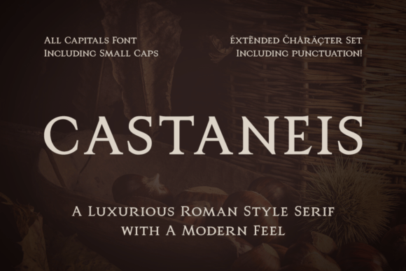 Elevate Web Design with the Castaneis Typeface
