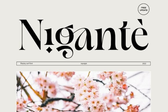 Nigante Font Review: Elegant Serif for Branding