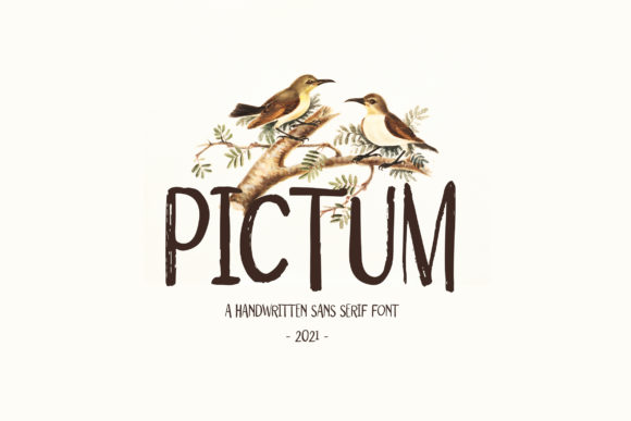 Pictum: A Quirky Display Font for Bold Branding