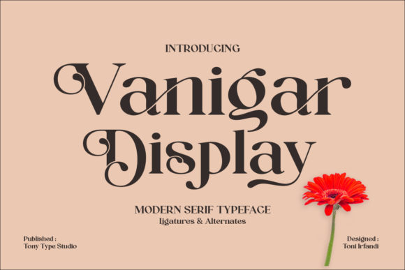 Vanigar Display: A Distinct Typeface for Editorial Impact